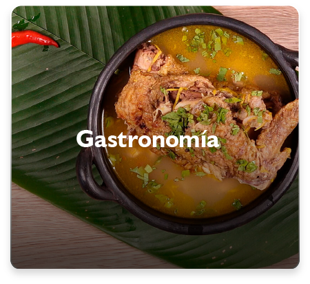 Gastronomia